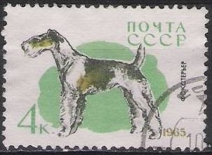 Rusia URSS 1965 Scott 3004 Sello º Fauna Perros Fox Terrier Timbre Russie Russia usado utilisé 